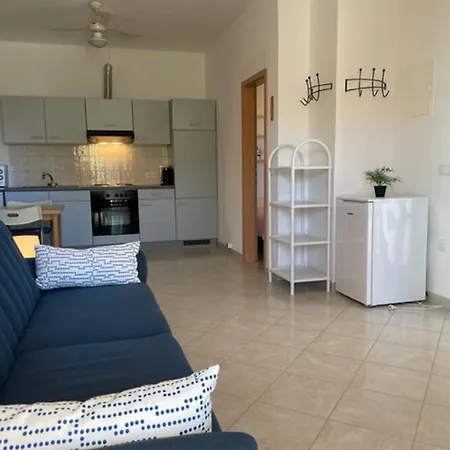 House Monique With Pool Apartment Rosini